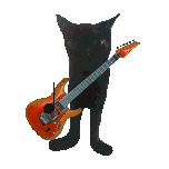gif of guitar playing cat